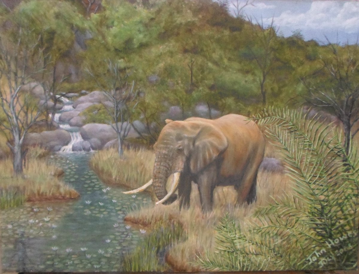 Photorealistic Animal Oil Painting By John Howes, 24 X 18, Elephant Coming For A Drimk, Original Artwork