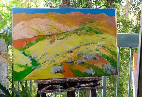 Yellow Blooming Hills. Spring in California