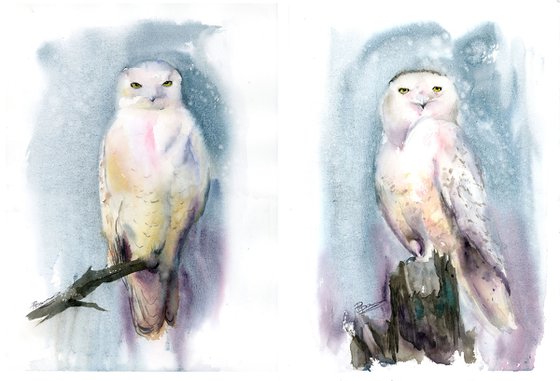Snowy Owl Diptych