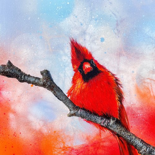 Bird #22 (northern cardinal) by Selene's Art