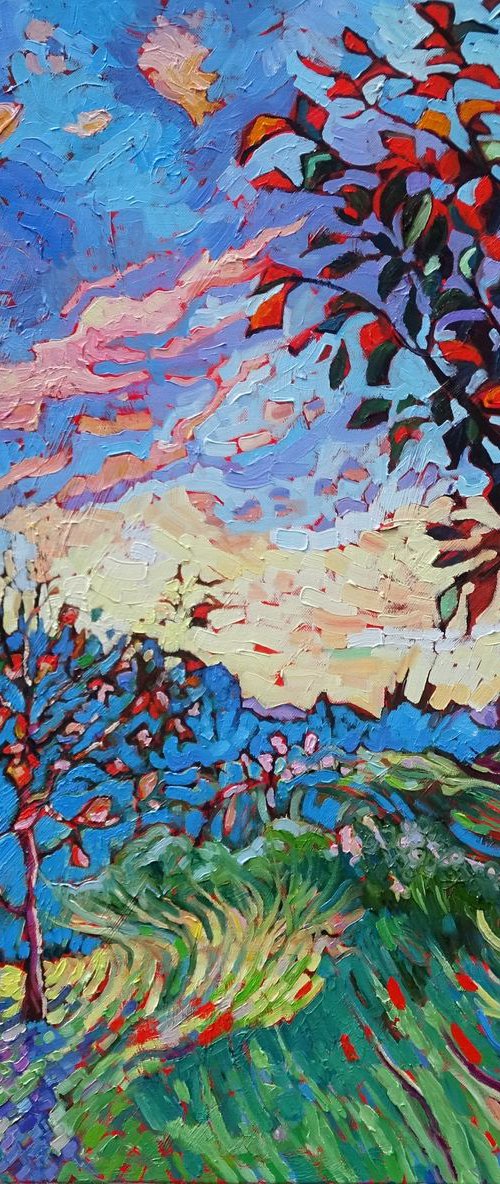 Tom's Garden by Mary Kemp