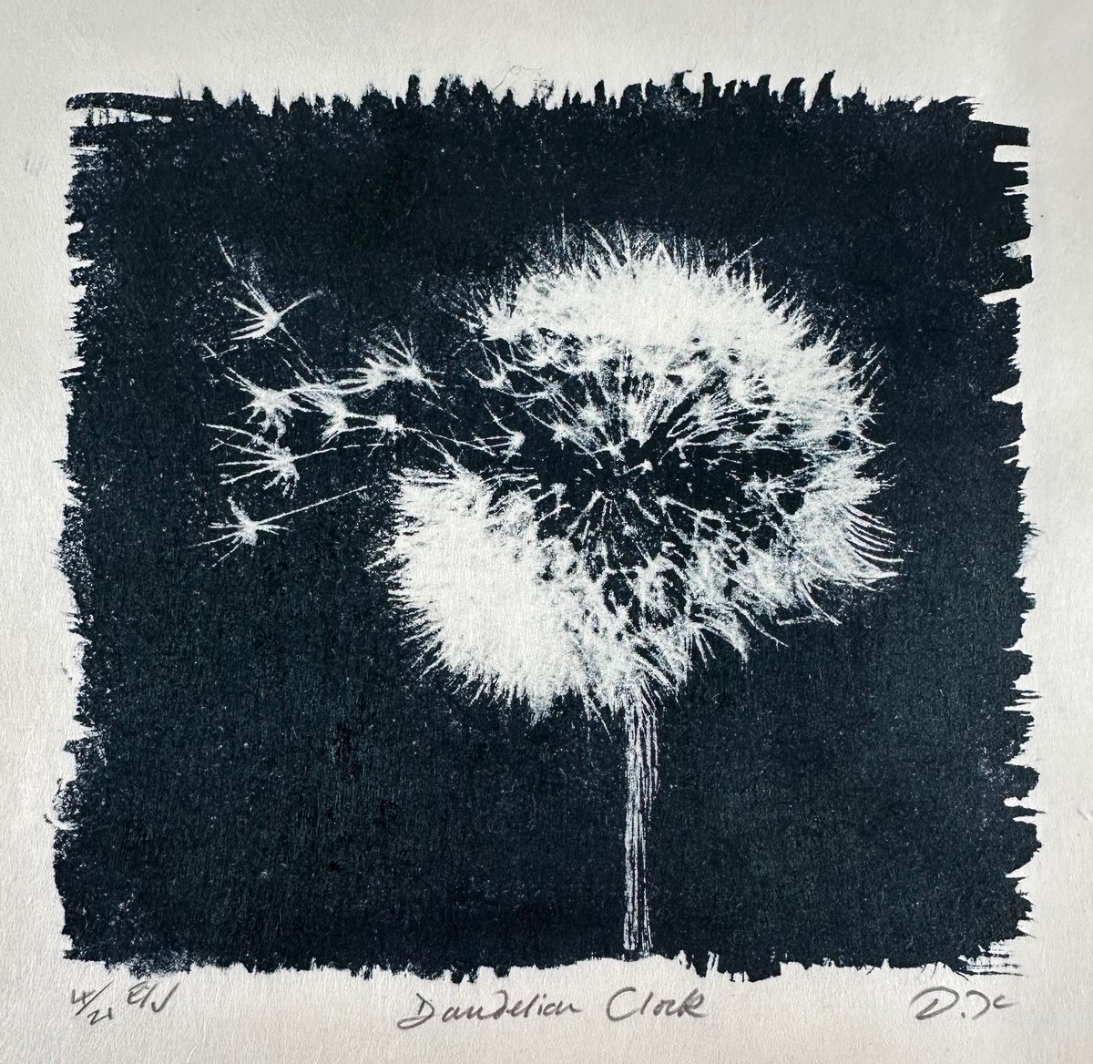 Limited Edition Print , Dandelion Clock By Diane Mclellan, 9 X 13, Artwork For Sale On Artfinder