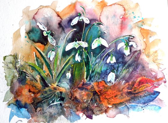 Snowdrops II