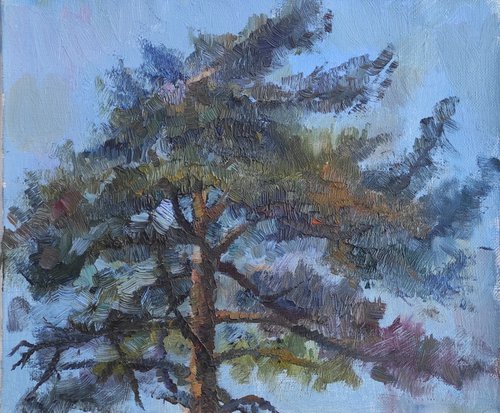 Pine by Natasha Voronchikhina