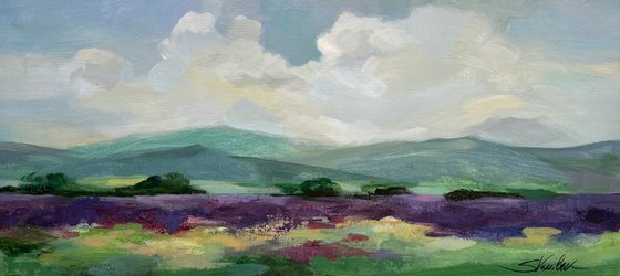 My Lavender Field II