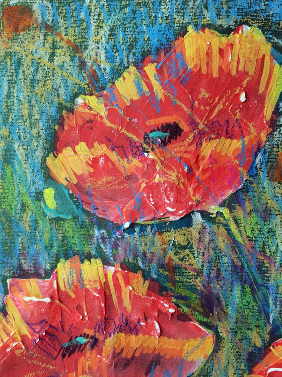 Poppies 4