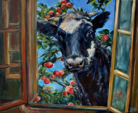 Cow At The Window