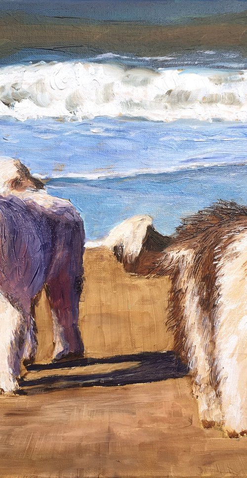 Shaggy dogs by Elena Sokolova