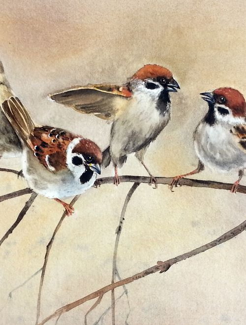 Battle the Sparrows by Olga Beliaeva Watercolour