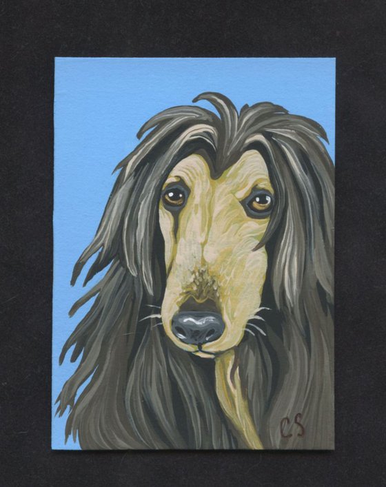 ACEO ATC Original Painting Afghan Pet Dog Art-Carla Smale