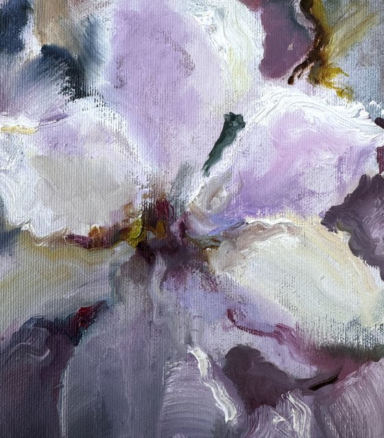 Pink Happiness. Magnolias