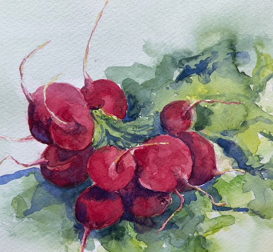 Radishes