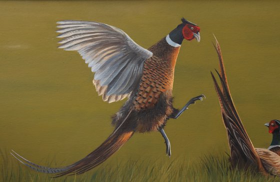 Fighting Pheasant, Animal Painting, Bird Artwork, Framed Art, Garden Animals, Original not Print, Gun Dog, Hunting