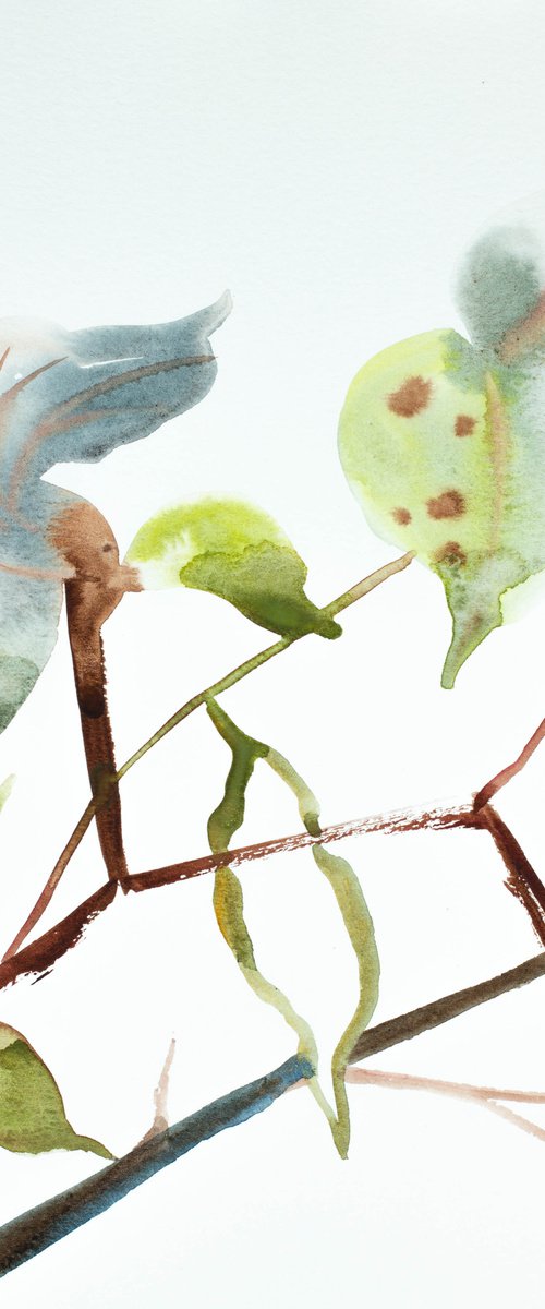 Plant Study No. 65 by Elizabeth Becker