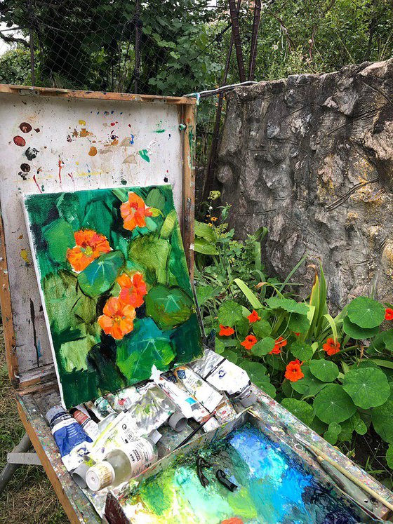 Nasturtium