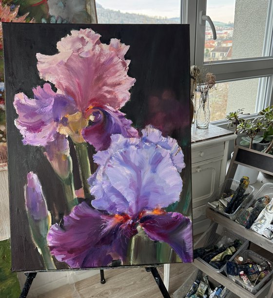 Luminous Irises