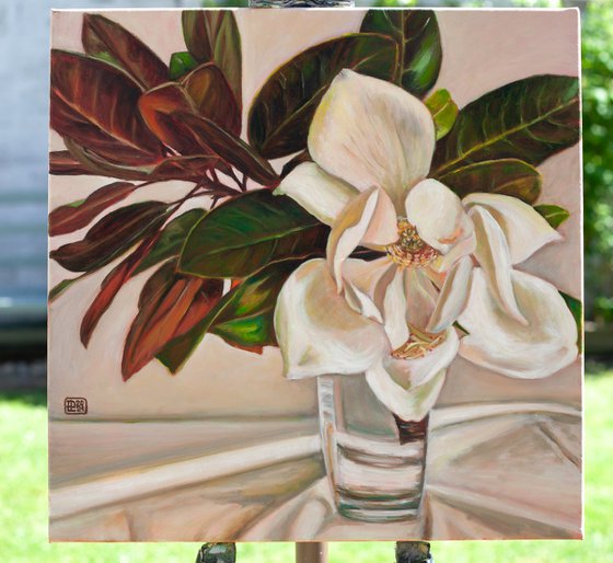 Magnolia Grandiflora
