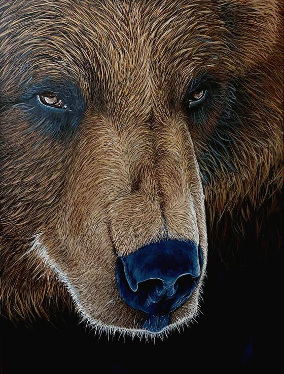 Brown Bear Portrait