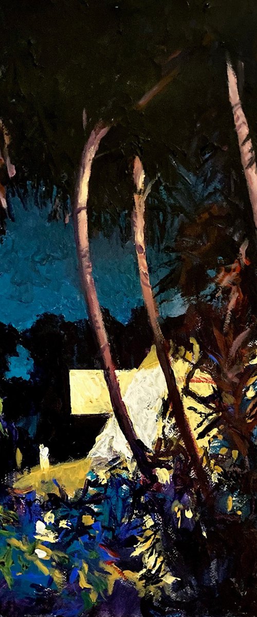 Palms at night by John Cottee