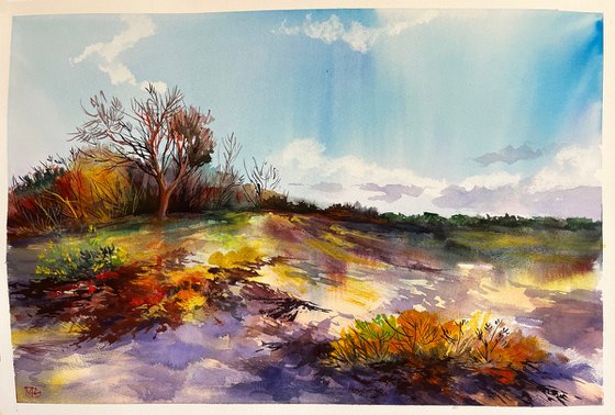 Autumn dunes