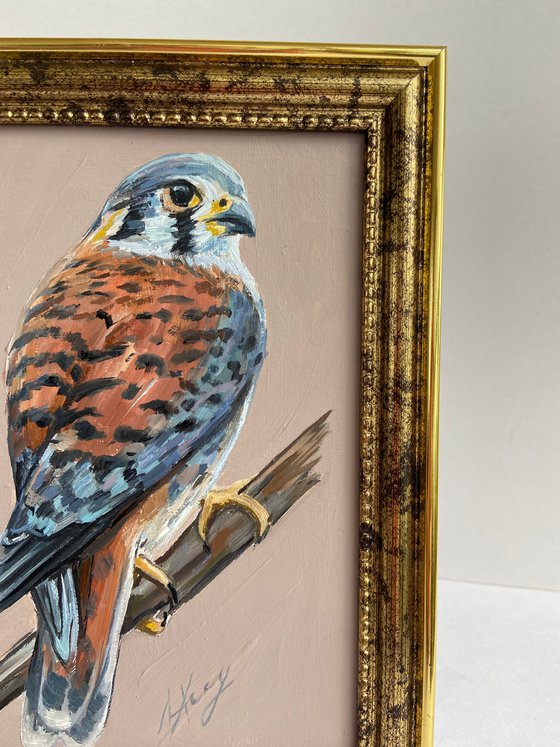 Bird Oil Painting American Kestrel framed 16x20cm 6x8inch