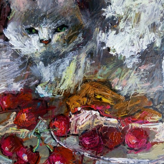 Gray cat & cherries