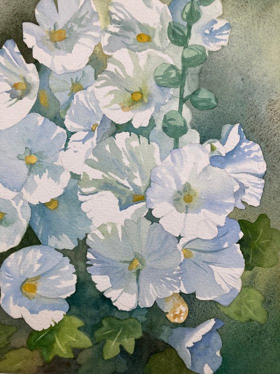 White Hollyhocks