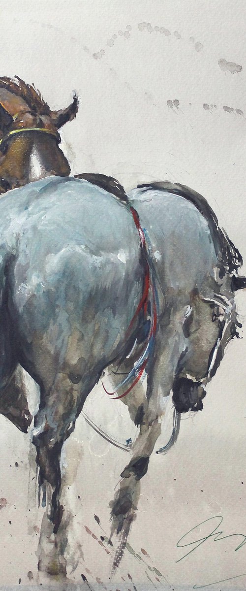 Country Horses 2021 by Maximo Damico