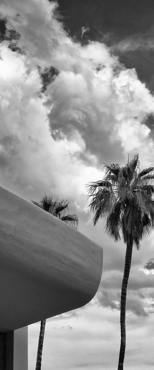 ABOVE THE CURVE Palm Springs by William Dey