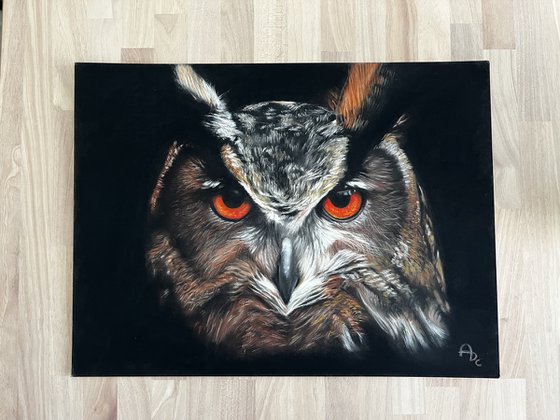 Amber Gaze - Original Owl Portrait