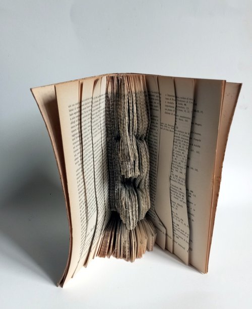 Screaming book by paolo beneforti