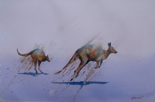 Kangaroos by Giorgio Gosti