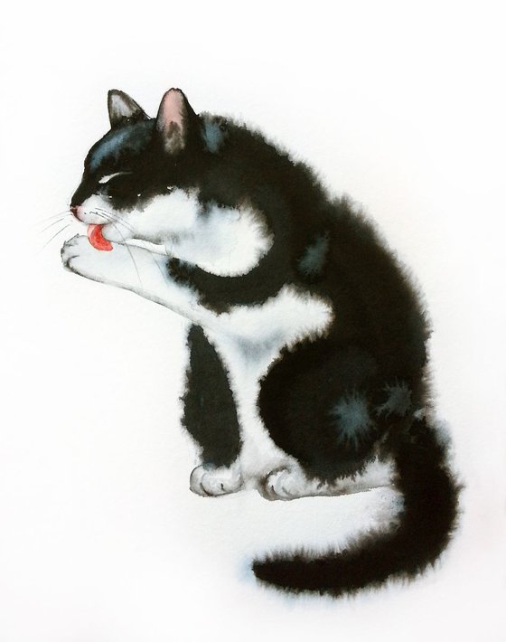 Black and White Cat Licking Itself