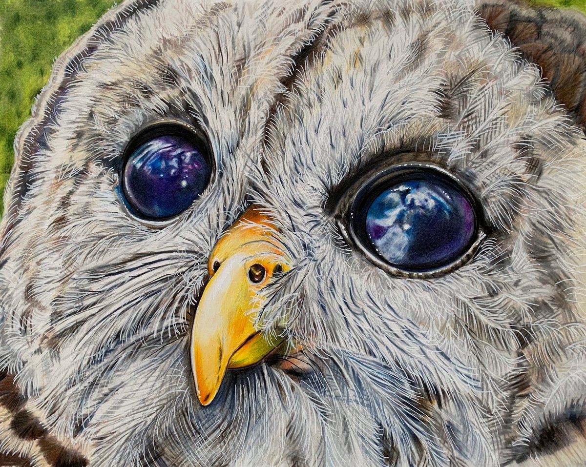 Illustrative Pencil Drawing , The Stars In His Eyes By Karen Elaine Evans, 12 X 10, Artwork For Sale On Artfinder
