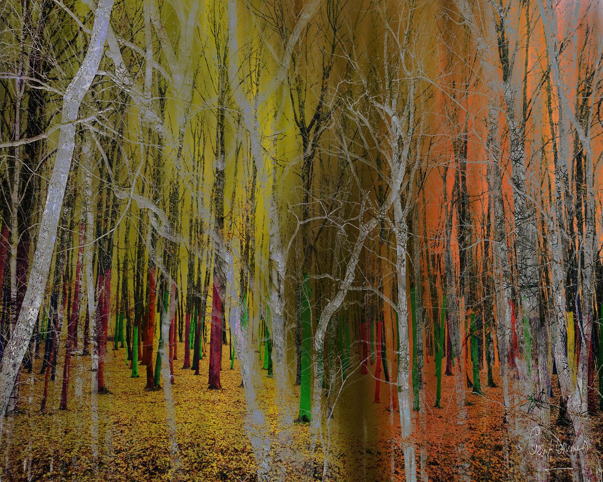 Impressionistic Landscape Photograph By Geert Lemmers Fpa, 39 X 31, Woodland 8838, Original Artwork