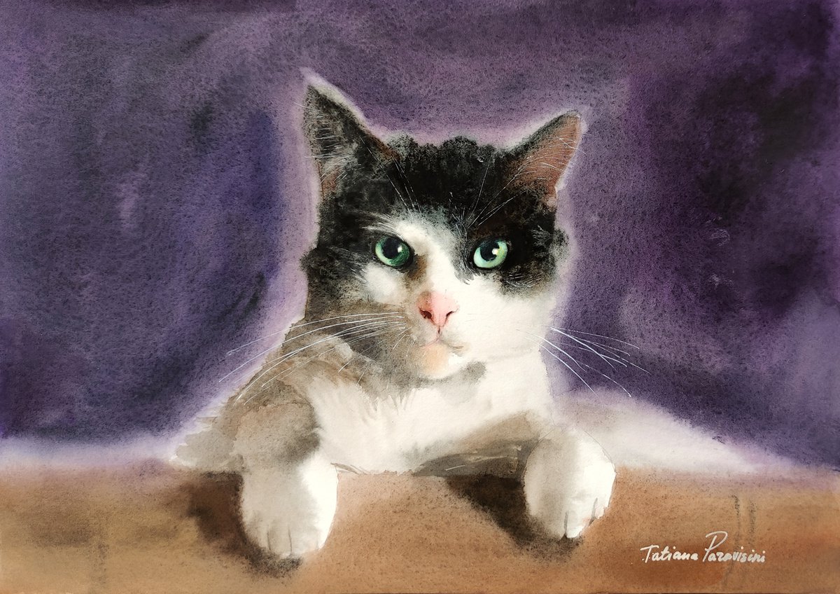 Photorealistic Animal Watercolour By Tatiana Paravisini, 12 X 8", Black&White Cat, Original Artwork
