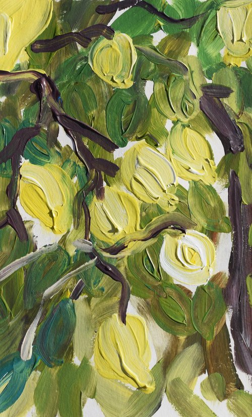 Lemon tree by Kirsty Wain