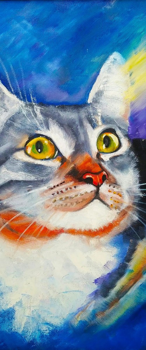 A cat catching sunbeams by Yulia Berseneva