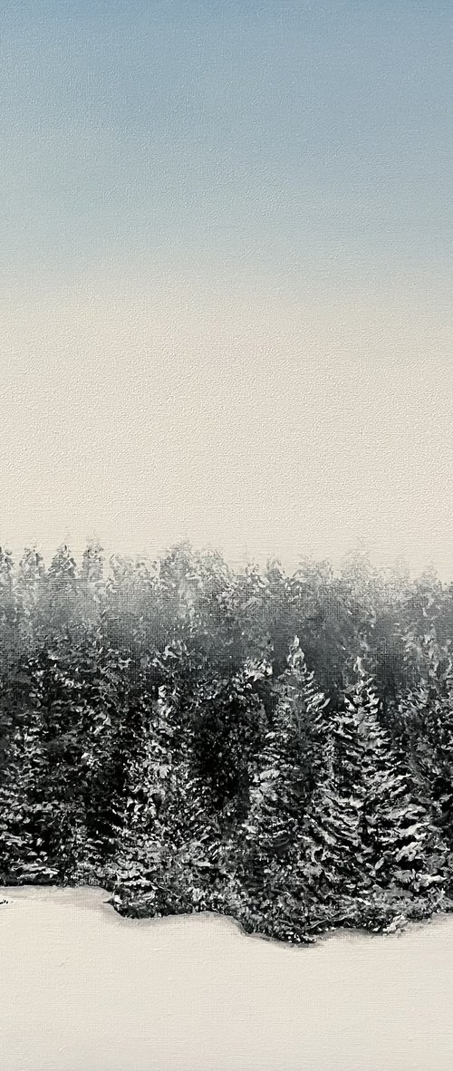 Winter by Victoria Obolensky