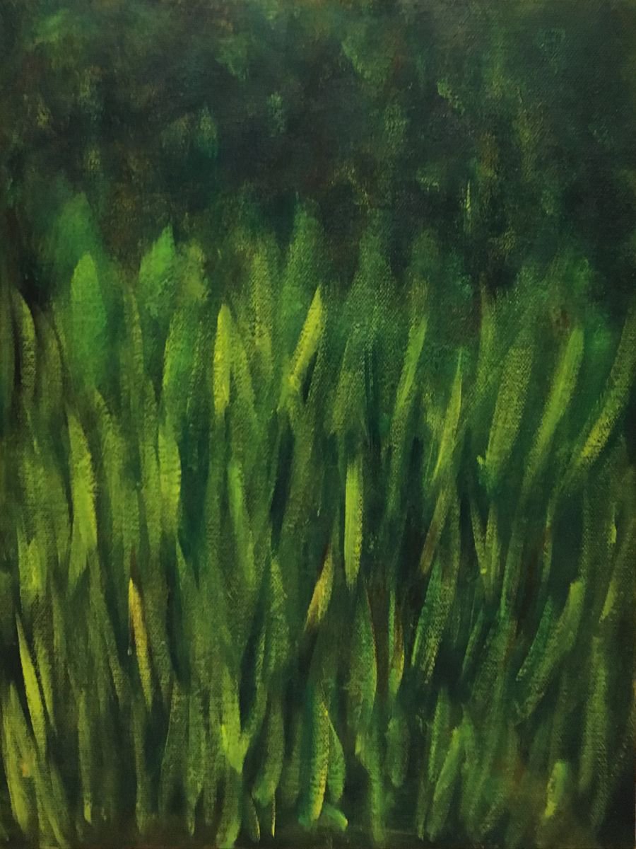 Grass in the green by Paola Consonni