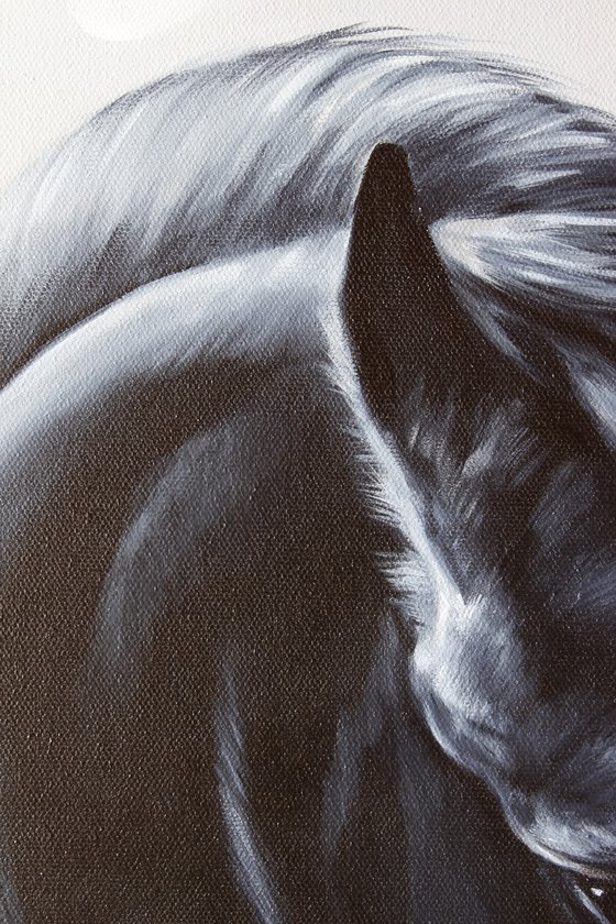 Friesian