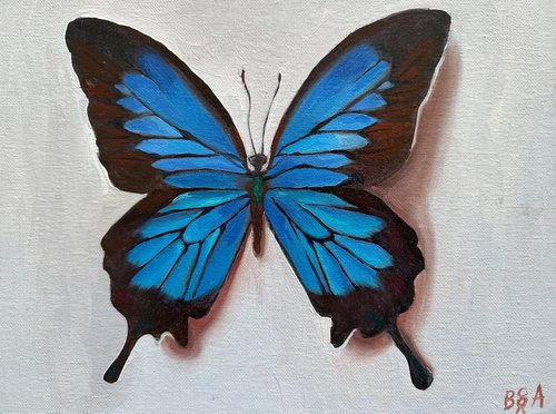 blue butterfly by Anna Bogushevskaya