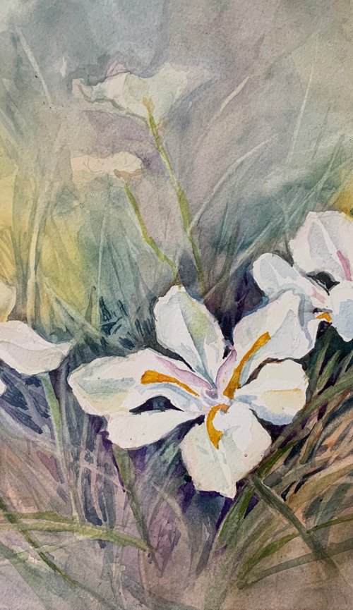 African Iris by Yoshiko Murdick