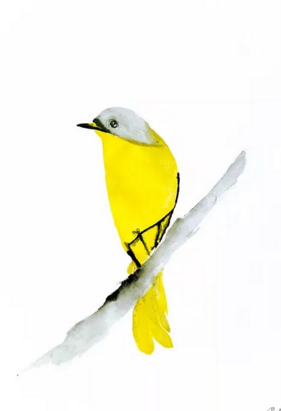Birds