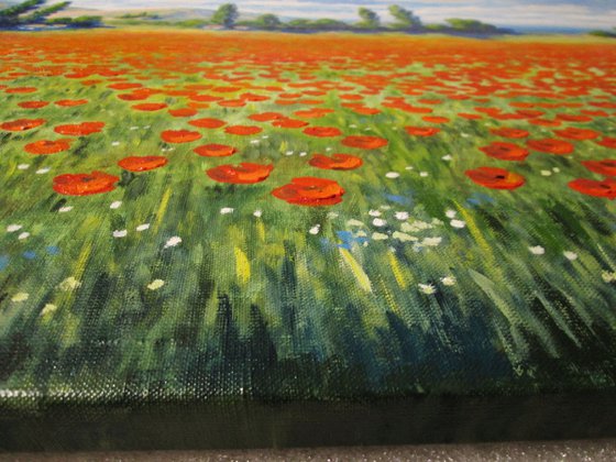 Poppy field 100х80 см