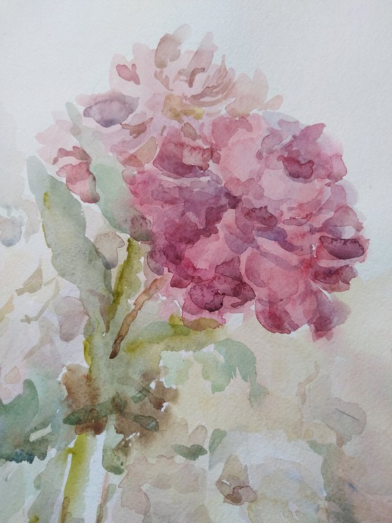 Peonies. Original watercolour painting 2020