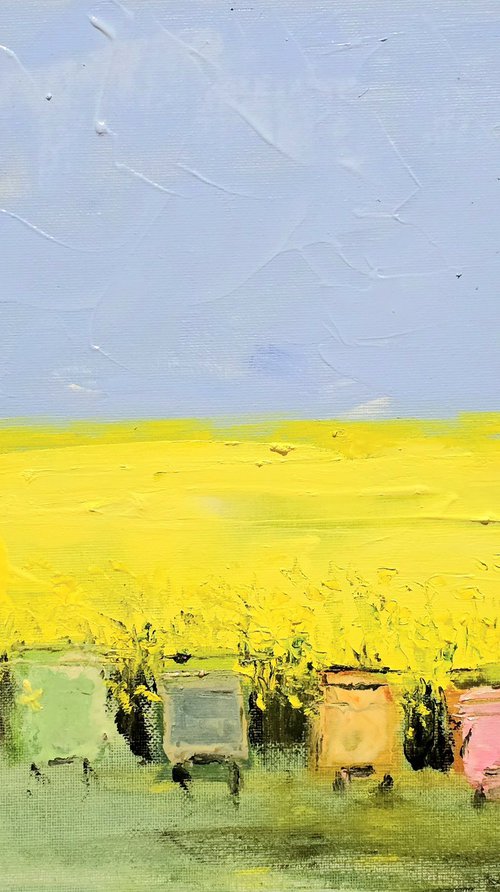 Rapeseed Pastoral by Samuel-Emanuel Nelepcu