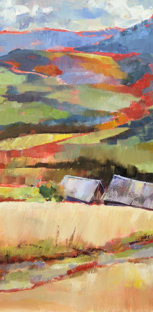 Colors in mountains in autumn by Olha Laptieva