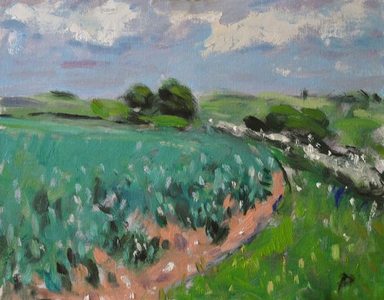 Corner of a Field