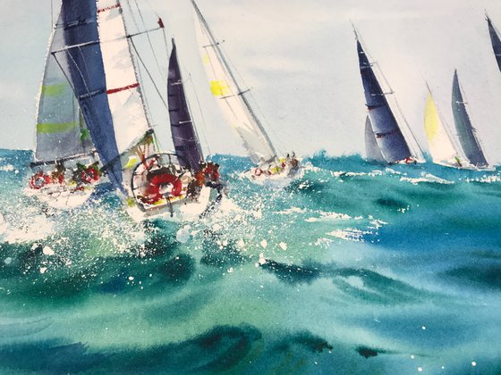 Regatta